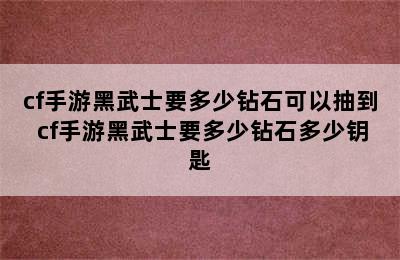 cf手游黑武士要多少钻石可以抽到 cf手游黑武士要多少钻石多少钥匙